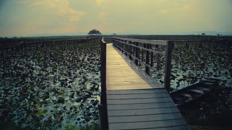 Boardwalk-leads-out-into-the-marsh-towards-a-pavilion-in-a-national-park-in-Thailand