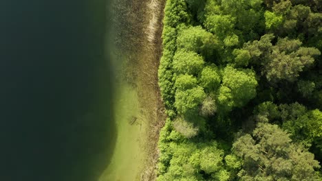 Drone-Descending-On-Trees-By-The-Lakeshore-In-Warmia,-Poland
