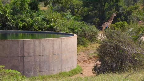 Statische-Ansicht-Des-Wasserreservoirs-In-Der-Afrikanischen-Savanne