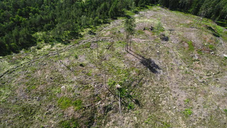 Aerial-drone-rotating-shot-over-destroyed-forest-due-to-deforestation-or-environmental-disaster-on-a-hilltop-on-a-sunny-day