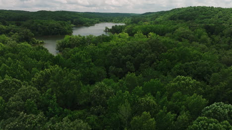 Dense-Vegetation-And-River-In-Mousetail-Landing-State-Park,-Linden,-Tennessee,-USA---aerial-drone-shot