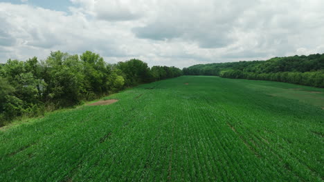 Grüne-Landschaft-Eines-Landwirtschaftlichen-Feldes-Im-Mousetail-Landing-State-Park,-Linden,-Tennessee,-USA---Luftdrohnenaufnahme