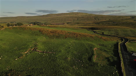 Establishing-Drone-Shot-of-Field-of-Sheep-towards-Whernside-at-Golden-Hour