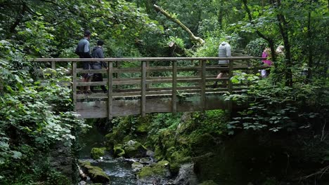 Slow-motion-people-crossing-wooden-bridge-over-peaceful-woodland-forest-stream-surrounded-by-lush-foliage