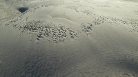 Flug-über-Eine-Sanddüne,-Die-Vom-Wind-Weggeblasen-Wird,-Nördlich-Von-Dänemark,-Råbjerg-Meile