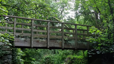 Rising-across-wooden-bridge-over-peaceful-woodland-forest-stream-surrounded-by-lush-foliage