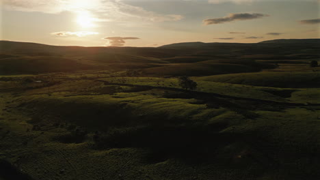 Establishing-Drone-Shot-at-Sunrise-Over-Fields-of-Sheep-in-Yorkshire-Dales