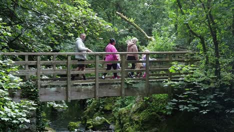 People-crossing-slow-motion-wooden-bridge-over-peaceful-woodland-forest-stream-surrounded-by-lush-foliage
