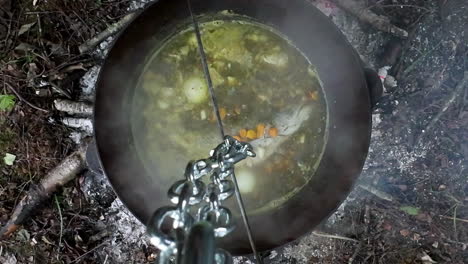 Freshly-caught-fish-stew-boiling-on-a-campfire---straight-down-view
