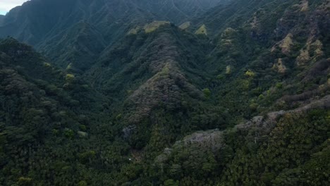 Blick-Entlang-Eines-üppig-Grünen-Tropischen-Regenwaldes-Auf-Einem-Bergrücken-Auf-Fatu-Hiva-Auf-Den-Marquesas-Inseln-Im-Südpazifik,-Französisch-Polynesien