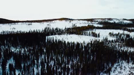 Arktische-Landschaft-Mit-Wald-Im-Winter-Mit-Den-Hügeln-Im-Hintergrund-Der-Drohne
