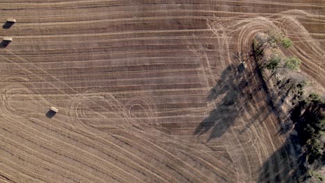 Lateral-slow-aerial-calm-view-of-a-wheat-field-after-the-harvest-with-its-disseminated-straw-bales-on-a-sunny-day-in-Spain