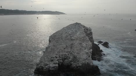 Huge-flock-of-Frigatebirds-fly-circles-over-rock-islet-in-silver-ocean