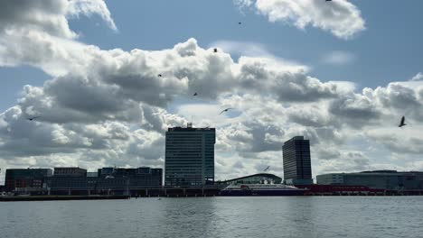 Birds-flying-above-IJ-river-in-Amsterdam-North-on-a-sunny-day-with-dark-clouds