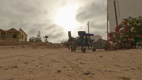 Backward-tracking-shot-of-harnessed-horse-pulling-carriage-with-tourists-for-tour-in-Tunisia
