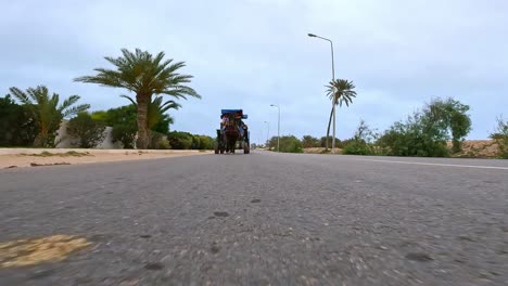Backward-tracking-shot-of-harnessed-horse-pulling-carriage-with-tourists-for-tour-along-city-street-of-Djerba-in-Tunisia