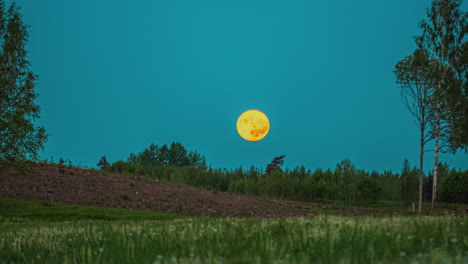Cinematic-footage-of-the-moon-setting-over-a-grassy-and-earthy-hill-with-trees-and-bushes-in-the-foreground