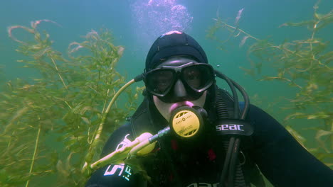 SCUBA-diver-swimming-through-the-kelp-in-Lake-Laukezers,-Latvia