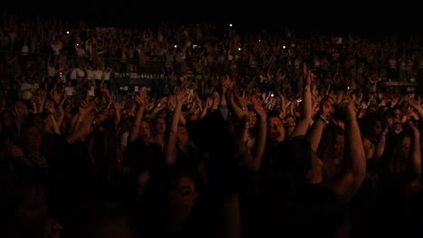 Gente-Animando,-Cantando-Y-Saltando-En-Un-Concierto-Nocturno-Cerca-Del-Escenario