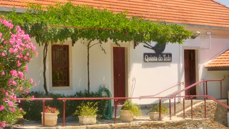 Toma-Estática-De-Una-Casa-De-Pueblo-Junto-Al-Hermoso-Viñedo-Quinta-Do-Tedo-En-El-Valle-Del-Duero,-Oporto,-Portugal-En-Un-Día-Soleado