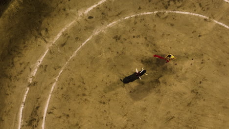 Top-down-aerial-view-above-a-matador-fighting-a-bull,-in-Aguascalientes,-Mexico