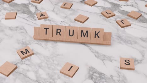 Trumk-word-on-scrabble