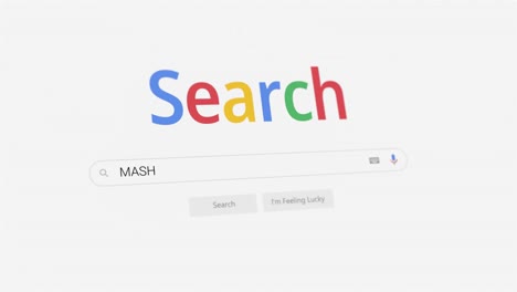 Mash-Google-Suche