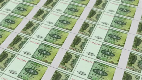 5-Marcos-Alemanes-Billetes-De-Alemania-Impresos-Por-Una-Prensa-De-Dinero