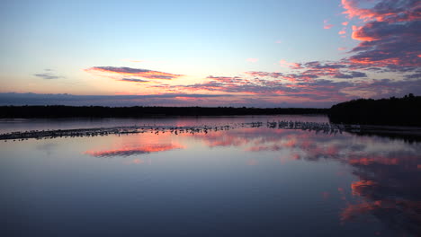 Distant-shorebirds-at-sunset-along-the-wetlands-of-Floridas-coast