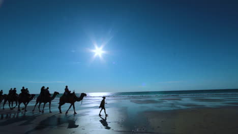 Un-Tren-De-Camellos-Cruza-La-Playa-De-Broome-En-El-Oeste-De-Australia-Al-Atardecer