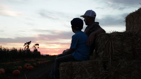 Ein-Vater-Und-Sohn-Sitzen-Bei-Sonnenuntergang-Auf-Einem-Landwirtschaftlichen-Feld-4
