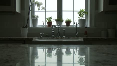 Potted-plants-adorn-a-window-and-are-reflected-in-the-countertop-in-a-kitchen
