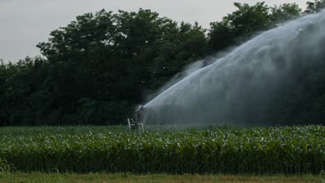 Farm-Water-Sprinkler-4K-00