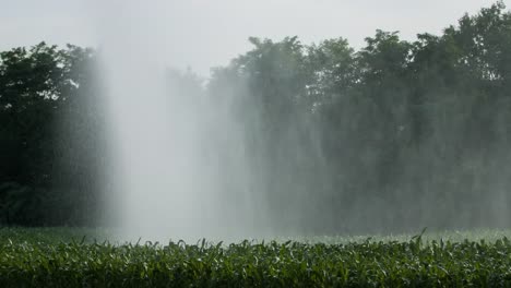 Farm-Water-Sprinkler-4K-03