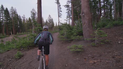 Pov-Shot-De-Un-Ciclista-De-Montaña-Cabalgando-Por-Un-Camino-De-Tierra-A-Través-De-Un-Bosque