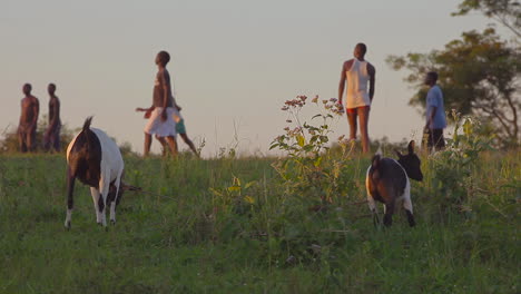 African-children-walk-along-a-ridge-above-their-herd-of-goats