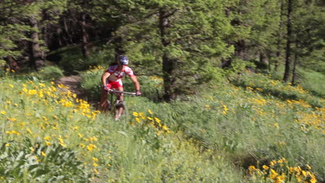 Ein-Mann-Fährt-Mit-Dem-Mountainbike-Schnell-Einen-Berghang-Mit-Wildblumen-Entlang