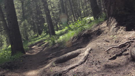 Low-angle-fast-dolly-into-man-riding-a-mountain-bike-fast-through-a-dense-forest