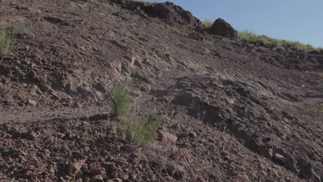 Un-Ciclista-De-Montaña-Corre-A-Través-De-Una-Zona-Rocosa-Y-Realiza-Un-Salto