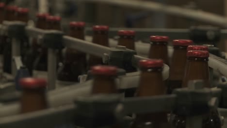 Bottles-Zip-Along-A-Conveyor-Belt-In-A-Bottling-Plant