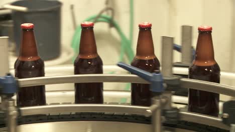 Bottles-Zip-Along-A-Conveyor-Belt-In-A-Bottling-Plant-9