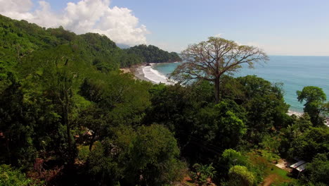 Beautiful-Aerial-Through-Jungle-Trees-And-Over-The-Coast-And-Beaches-Of-Costa-Rica