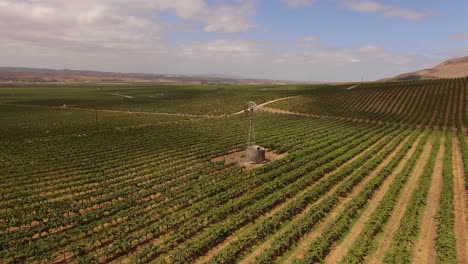 Antenne-über-Kalifornische-Farmfelder-In-Der-Nähe-Von-Santa-Maria-Kalifornien