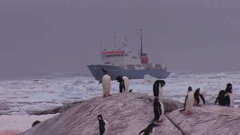 An-oceanic-research-vessel-floats-amongst-icebergs-in-Antarctica-2