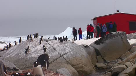 Wissenschaftler-Besuchen-Eine-Forschungsstation-In-Der-Antarktis,-Während-Pinguine-Zuschauen