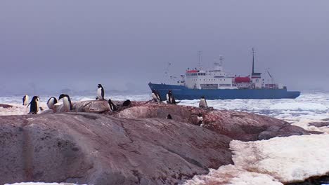 Ein-Ozeanisches-Forschungsschiff-Schwimmt-Zwischen-Eisbergen-In-Der-Antarktis,-Während-Pinguine-Zuschauen