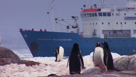 An-oceanic-research-vessel-floats-amongst-icebergs-in-Antarctica-as-penguins-look-on-1