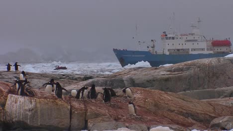 An-oceanic-research-vessel-floats-amongst-icebergs-in-Antarctica-as-penguins-look-on-2