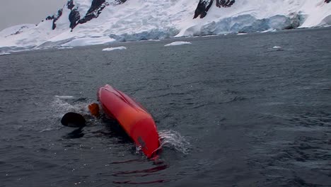 A-man-performs-a-dangerous-rollover-maneuver-in-a-kayak-in-Arctic-waters