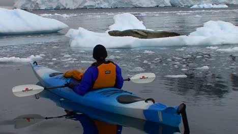 A-man-paddles-a-kayak-in-the-Arctic-or-Antarctic-with-an-elephant-seal-on-a-nearby-iceberg